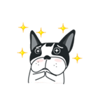 WTFF ！ What The French Friend！（個別スタンプ：24）
