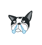 WTFF ！ What The French Friend！（個別スタンプ：28）