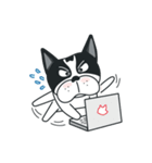 WTFF ！ What The French Friend！（個別スタンプ：33）