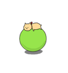 ハム男（個別スタンプ：17）