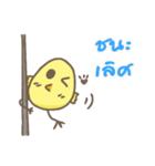 Nongkai Chickchic（個別スタンプ：36）