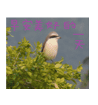 Poem（個別スタンプ：4）