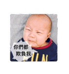 翔くんの在日生活(写真編)（個別スタンプ：13）
