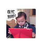 翔くんの在日生活(写真編)（個別スタンプ：31）