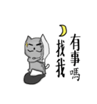 chao hu cat（個別スタンプ：14）