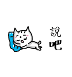 chao hu cat（個別スタンプ：24）