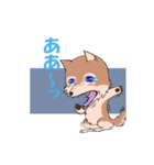 choco and dai（個別スタンプ：3）