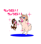 choco and dai（個別スタンプ：8）