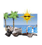 My Schnauzer II（個別スタンプ：19）