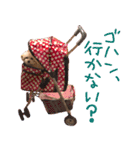 わんこ、くるくるちゃん1（個別スタンプ：8）