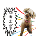 bi -The second（個別スタンプ：1）