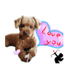 bi -The second（個別スタンプ：2）