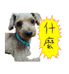 bi -The second（個別スタンプ：7）