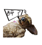 bi -The second（個別スタンプ：8）