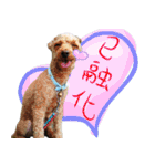 bi -The second（個別スタンプ：9）