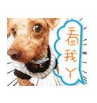 bi -The second（個別スタンプ：10）