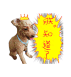 bi -The second（個別スタンプ：11）