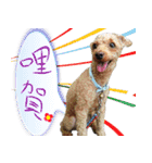 bi -The second（個別スタンプ：12）