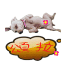bi -The second（個別スタンプ：13）