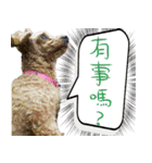 bi -The second（個別スタンプ：14）
