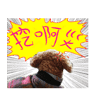 bi -The second（個別スタンプ：15）