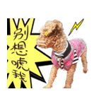 bi -The second（個別スタンプ：16）