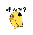 中年ひよこ-ピヨ田ピヨ助のスタンプ（個別スタンプ：12）