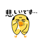 中年ひよこ-ピヨ田ピヨ助のスタンプ（個別スタンプ：20）