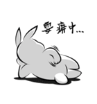 Fat Rabbit-first meet（個別スタンプ：37）