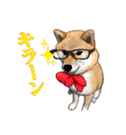 柴犬たまと愉快な仲間たち2（個別スタンプ：4）