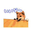 柴犬たまと愉快な仲間たち2（個別スタンプ：7）