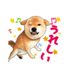 柴犬たまと愉快な仲間たち2（個別スタンプ：10）