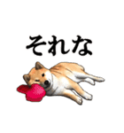 柴犬たまと愉快な仲間たち2（個別スタンプ：13）
