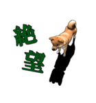 柴犬たまと愉快な仲間たち2（個別スタンプ：16）