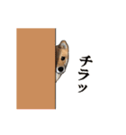 柴犬たまと愉快な仲間たち2（個別スタンプ：25）