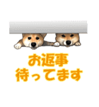 柴犬たまと愉快な仲間たち2（個別スタンプ：32）