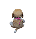 My name is popo（個別スタンプ：16）