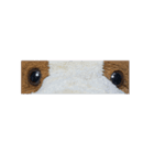My name is popo（個別スタンプ：18）