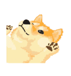 Pixel Shiba（個別スタンプ：2）