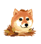 Pixel Shiba（個別スタンプ：3）