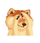 Pixel Shiba（個別スタンプ：4）