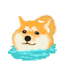 Pixel Shiba（個別スタンプ：5）