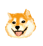 Pixel Shiba（個別スタンプ：6）