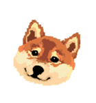 Pixel Shiba（個別スタンプ：10）
