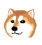 Pixel Shiba（個別スタンプ：13）