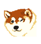 Pixel Shiba（個別スタンプ：14）