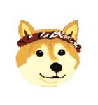 Pixel Shiba（個別スタンプ：15）