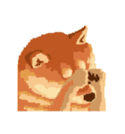 Pixel Shiba（個別スタンプ：16）