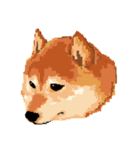 Pixel Shiba（個別スタンプ：18）