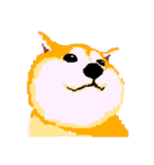 Pixel Shiba（個別スタンプ：20）